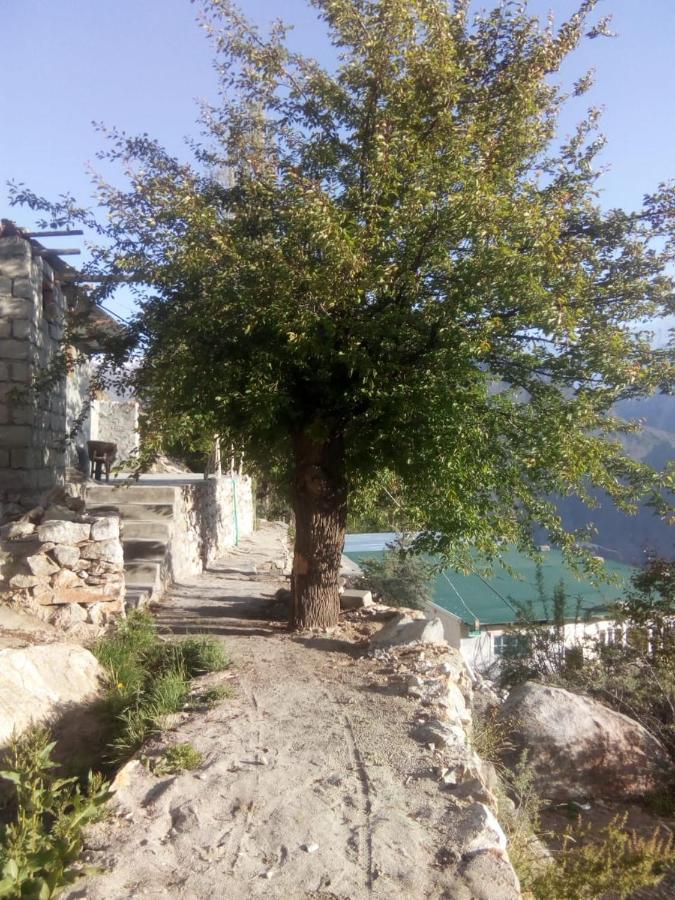 Venus Mountain Resort, Hunza Karimabad  ภายนอก รูปภาพ